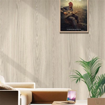 Revêtement mural en polybois résistant aux intempéries